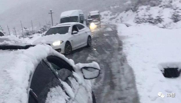 过安检时,一男子扑通跪在了海关面前!机场海