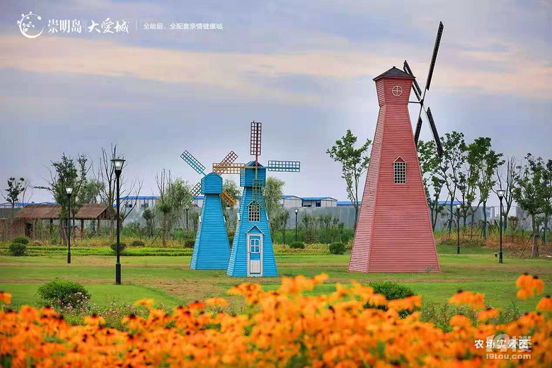 上海崇明岛大爱城三不限不需要社保三十万即可