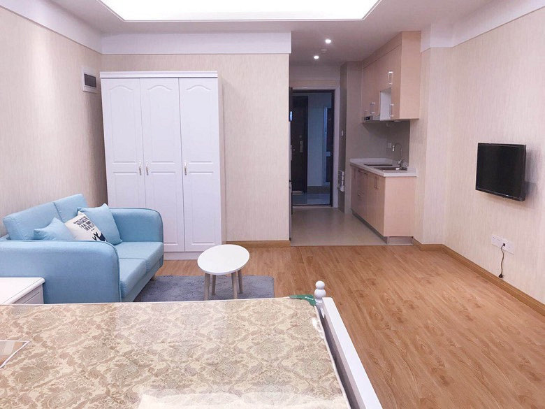 精装单身公寓 地铁2号线地铁口 朝阳银座 拎包