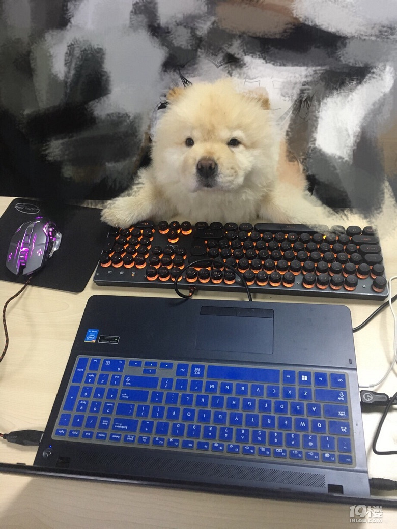 这对甲方乙方可以说是很形象了