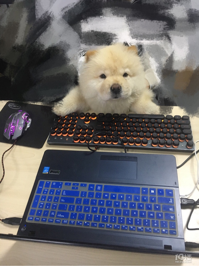 这对甲方乙方可以说是很形象了