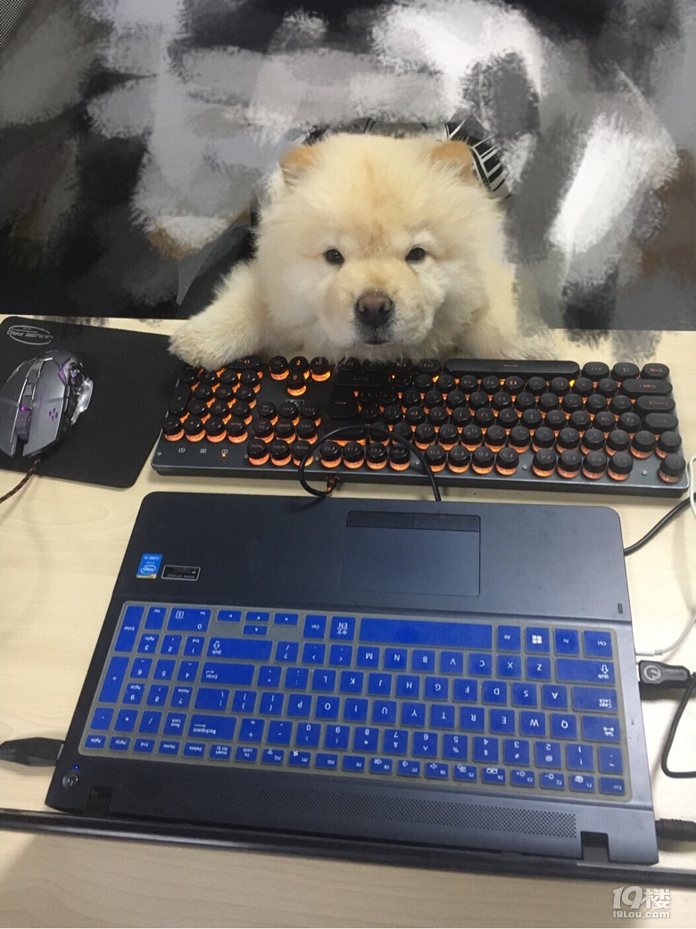 这对甲方乙方可以说是很形象了