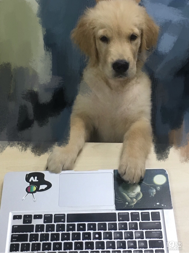 这对甲方乙方可以说是很形象了