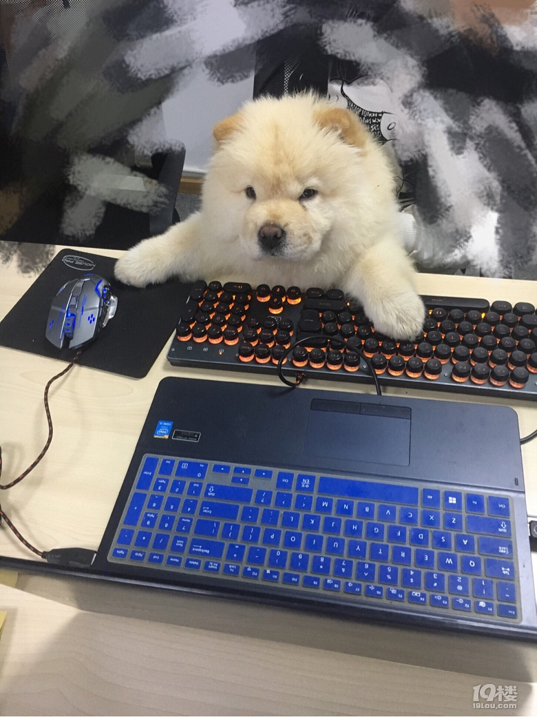 这对甲方乙方可以说是很形象了