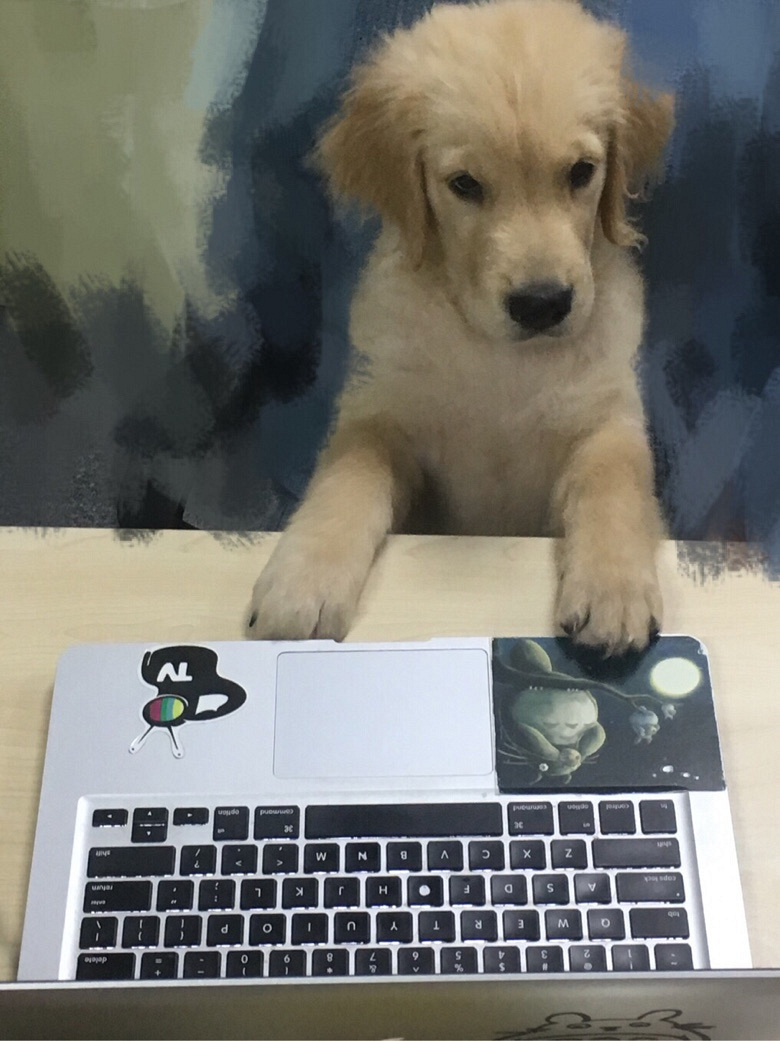 这对甲方乙方可以说是很形象了