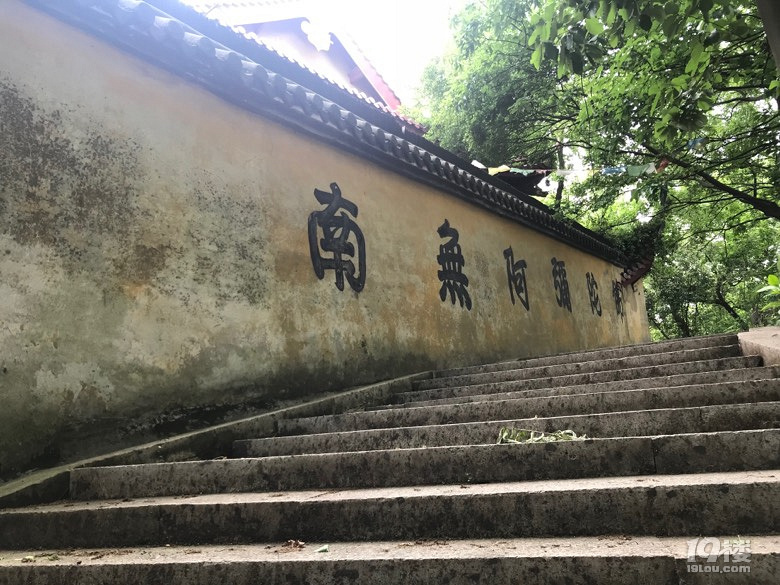 快过年了,救救单身狗吧