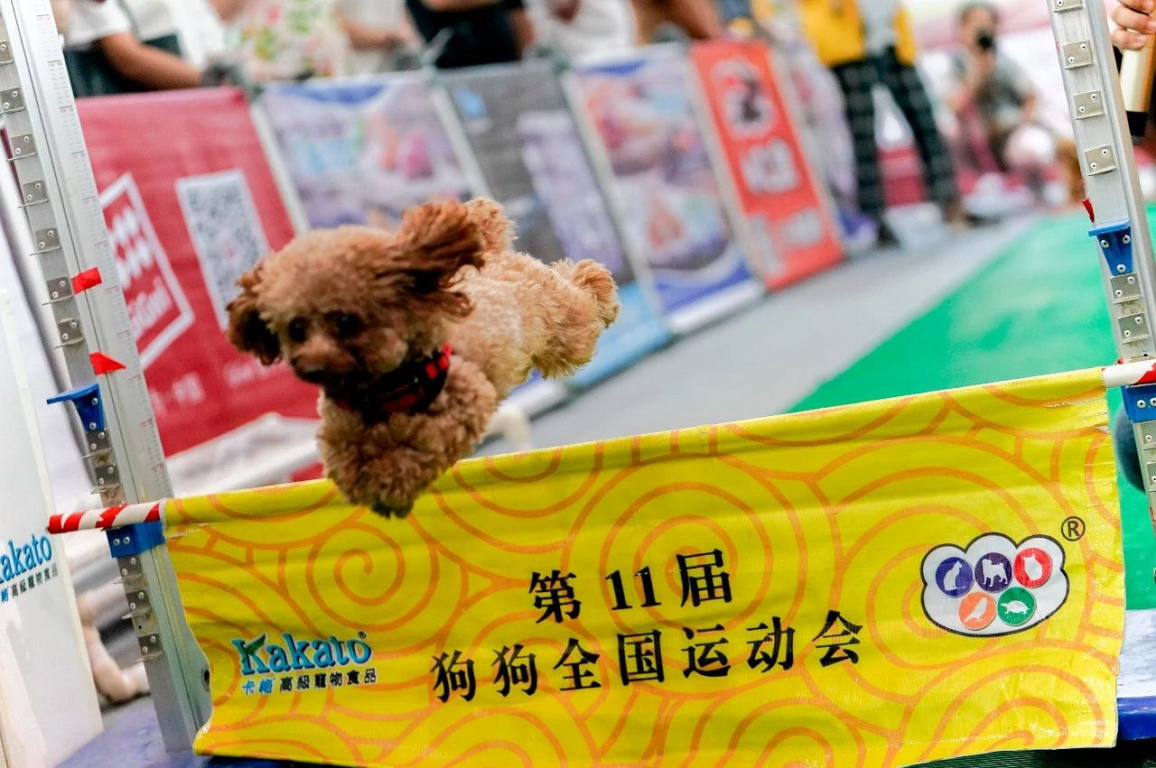 2018武汉展cpf国际宠博会有什么?