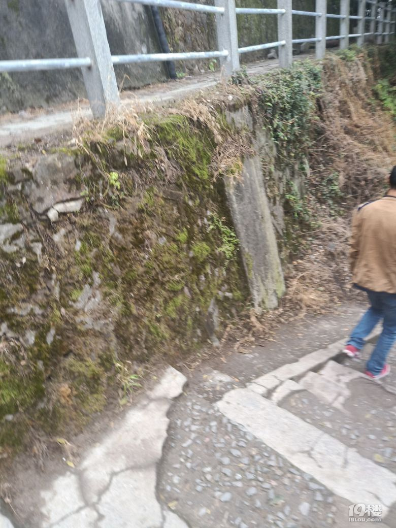 旅游