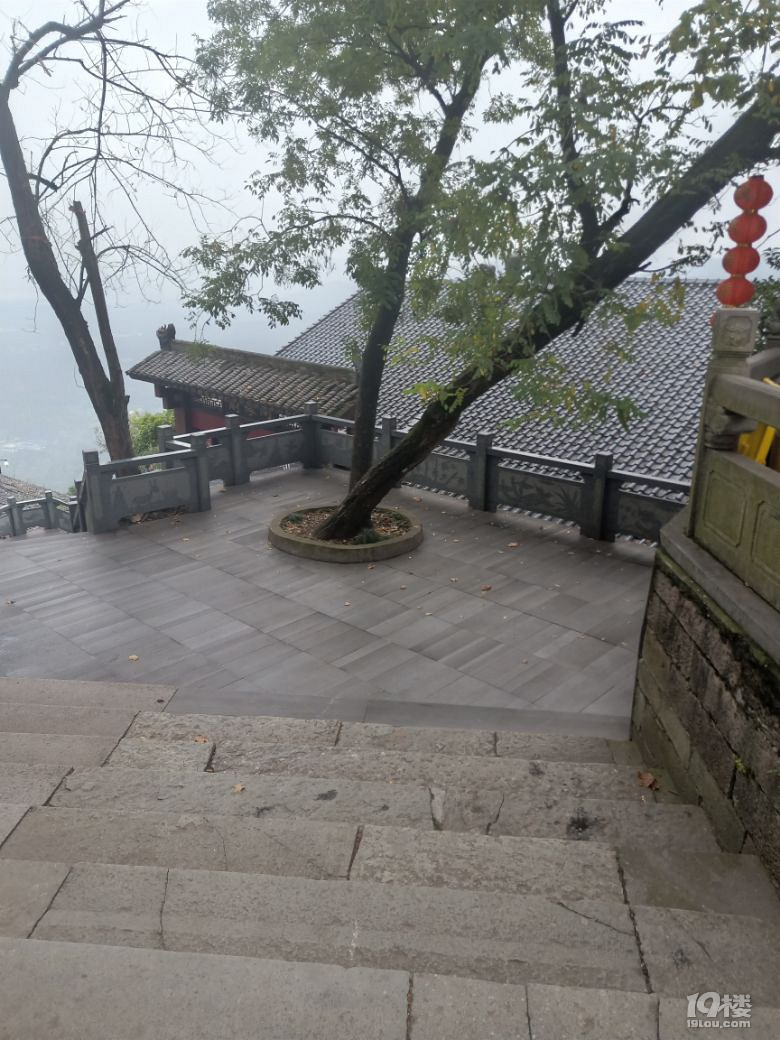 旅游