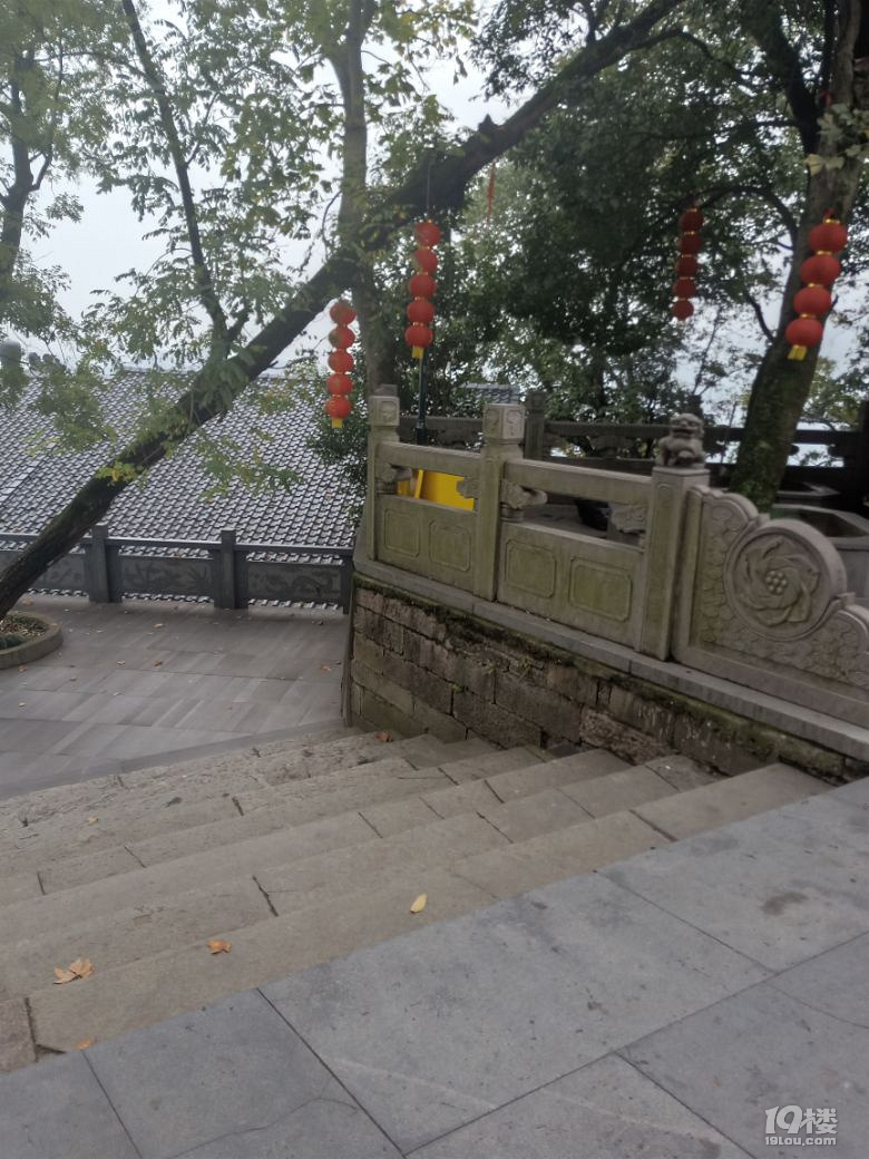 旅游