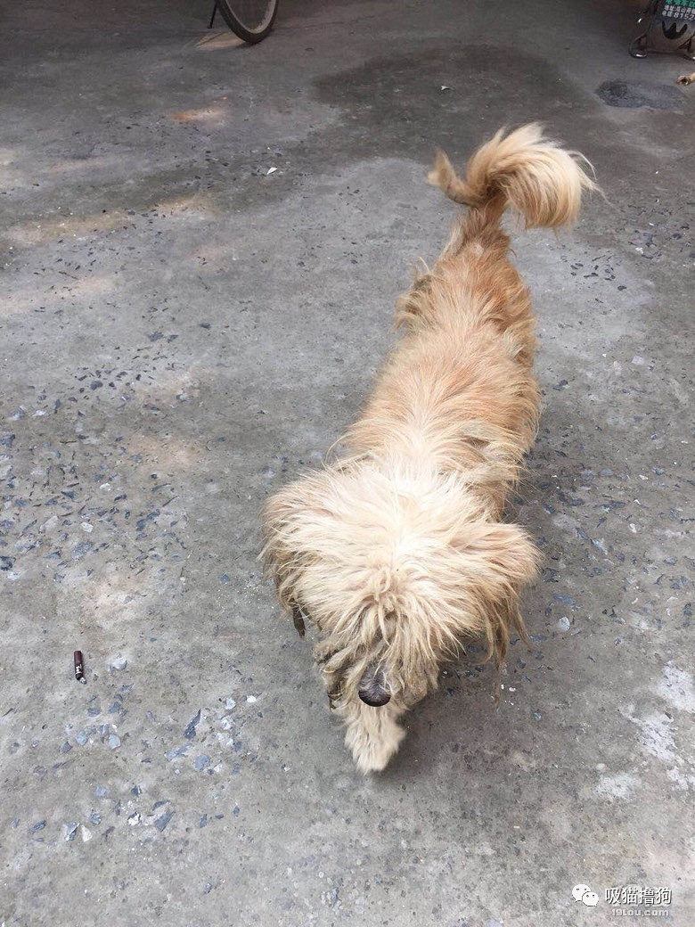 明天我要离开,熟悉的地方和你