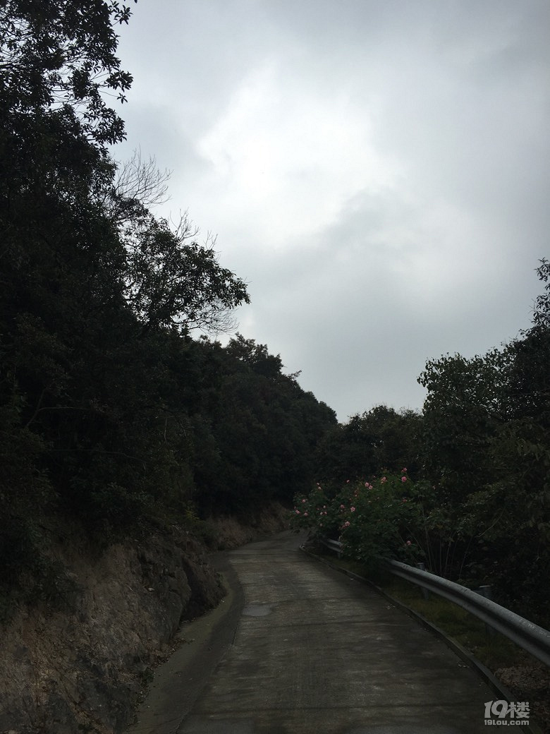 高峰
