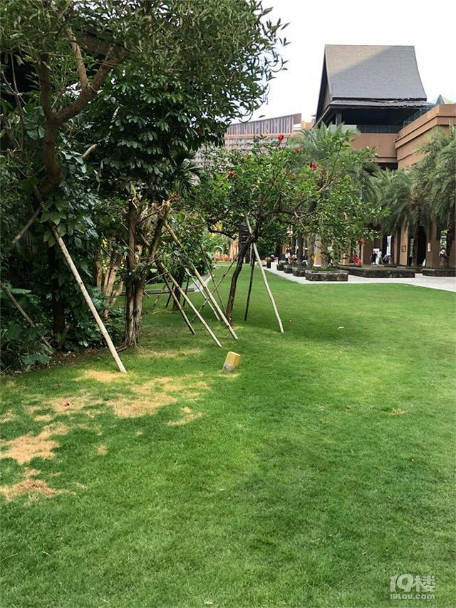 三亞親子出游攻略,帶上寶寶快樂的游三亞