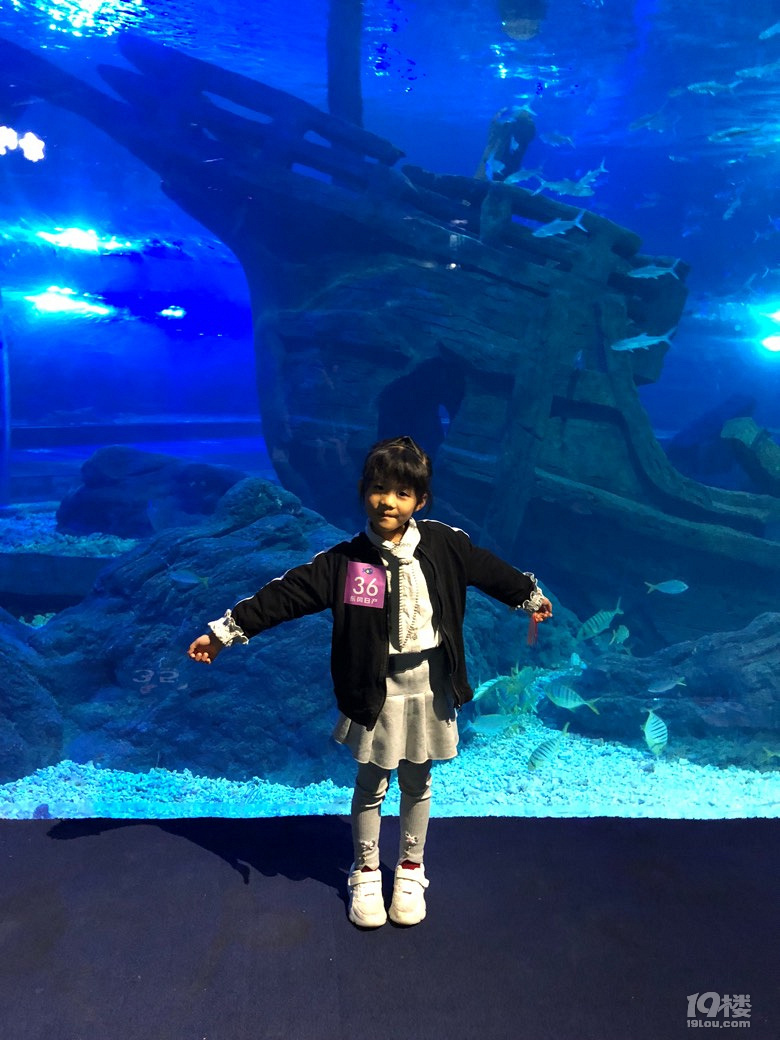 参加东风日产夜宿海洋馆活动，小朋友超兴奋
