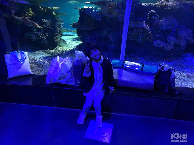 参加东风日产夜宿海洋馆活动，小朋友超兴奋