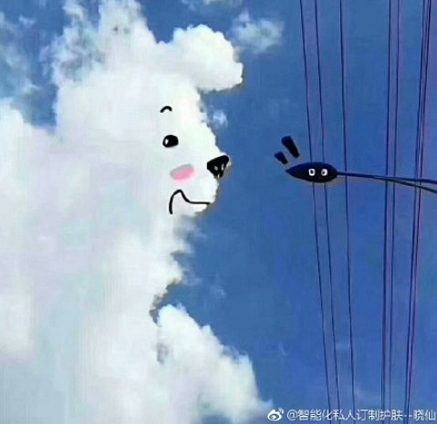 去世的狗狗们都去了哪里?这可能是最好的回答...-撸狗-杭州19楼