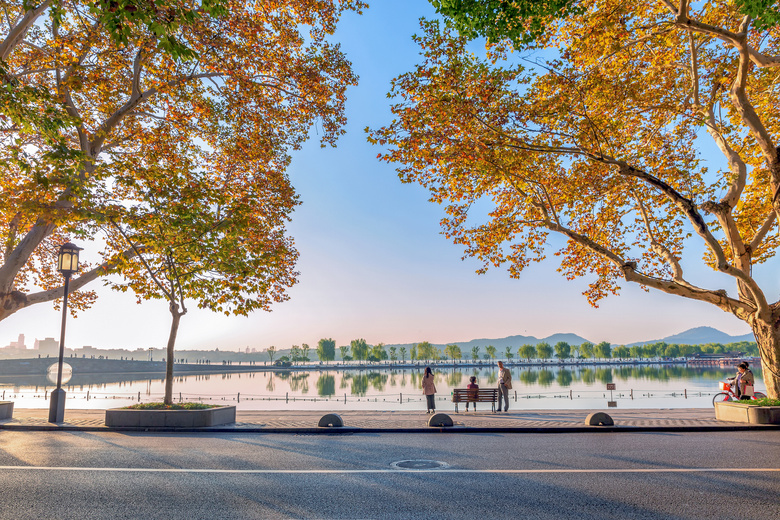 梧桐色浓北山街