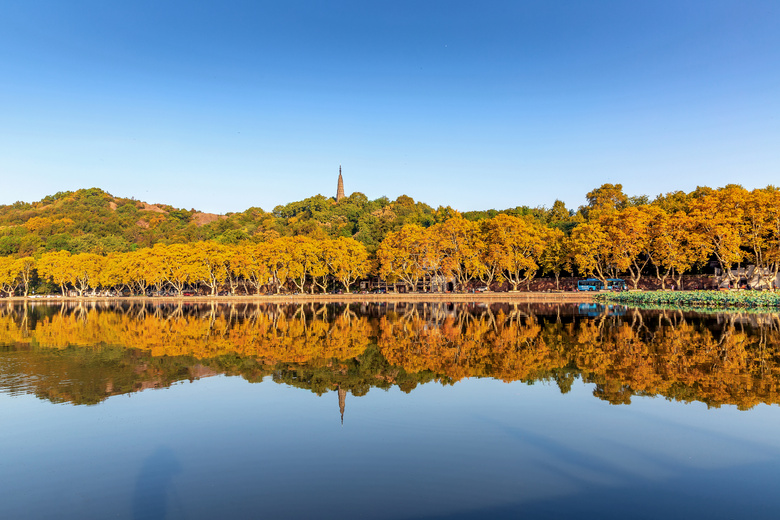 梧桐色浓北山街