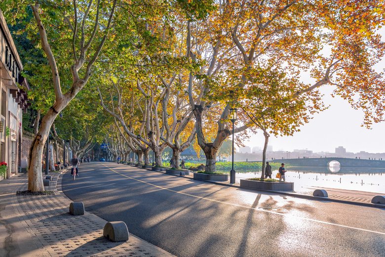 梧桐色浓北山街