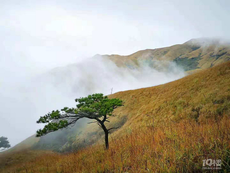 武功山再出發(fā),約同行伙伴
