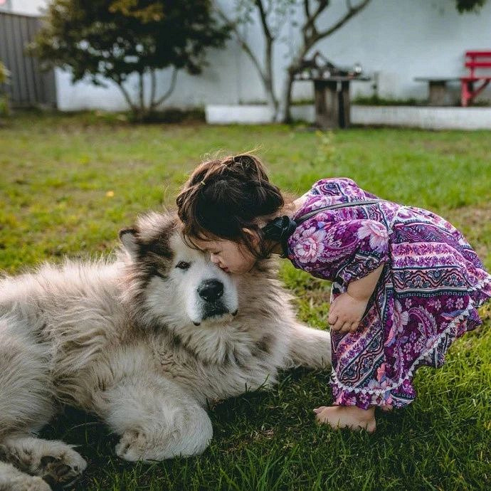 大狗砸和小朋友应该是最暖心的组合了