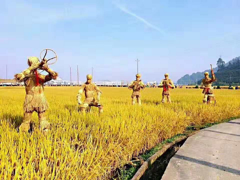 2018杭州富陽·漁山稻香節(jié)下周啟幕!