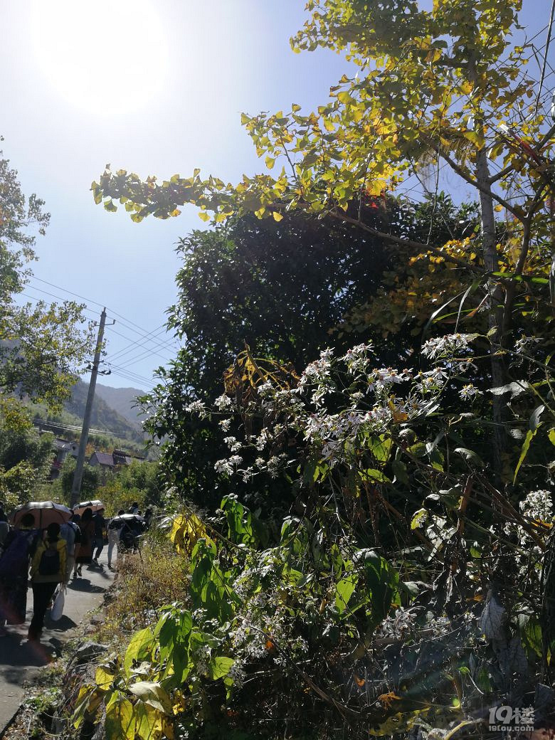 【秋游记】+去吴越古道吧!那私藏了《诗经》的“蒹葭苍苍”处