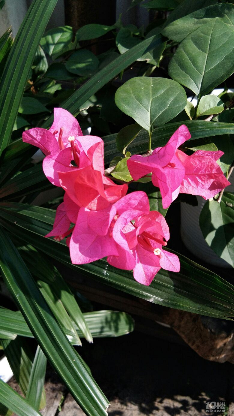 不辜负每个不下雨的日子