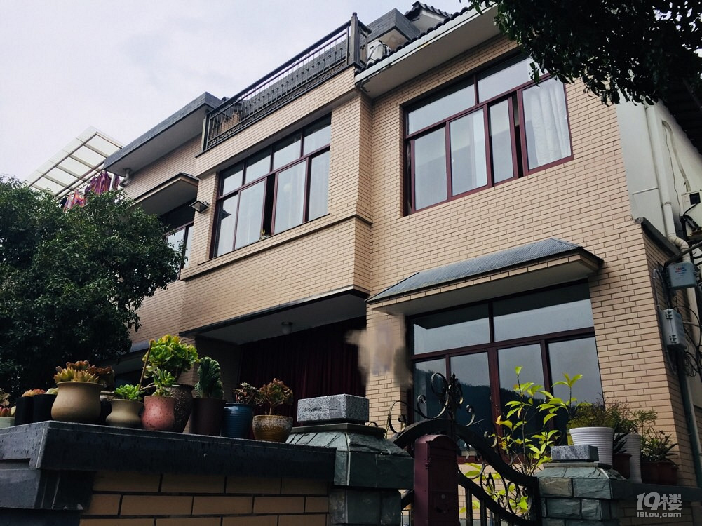 西湖景区龙井村240方别墅院子80方视野开阔看出去就是山景茶园