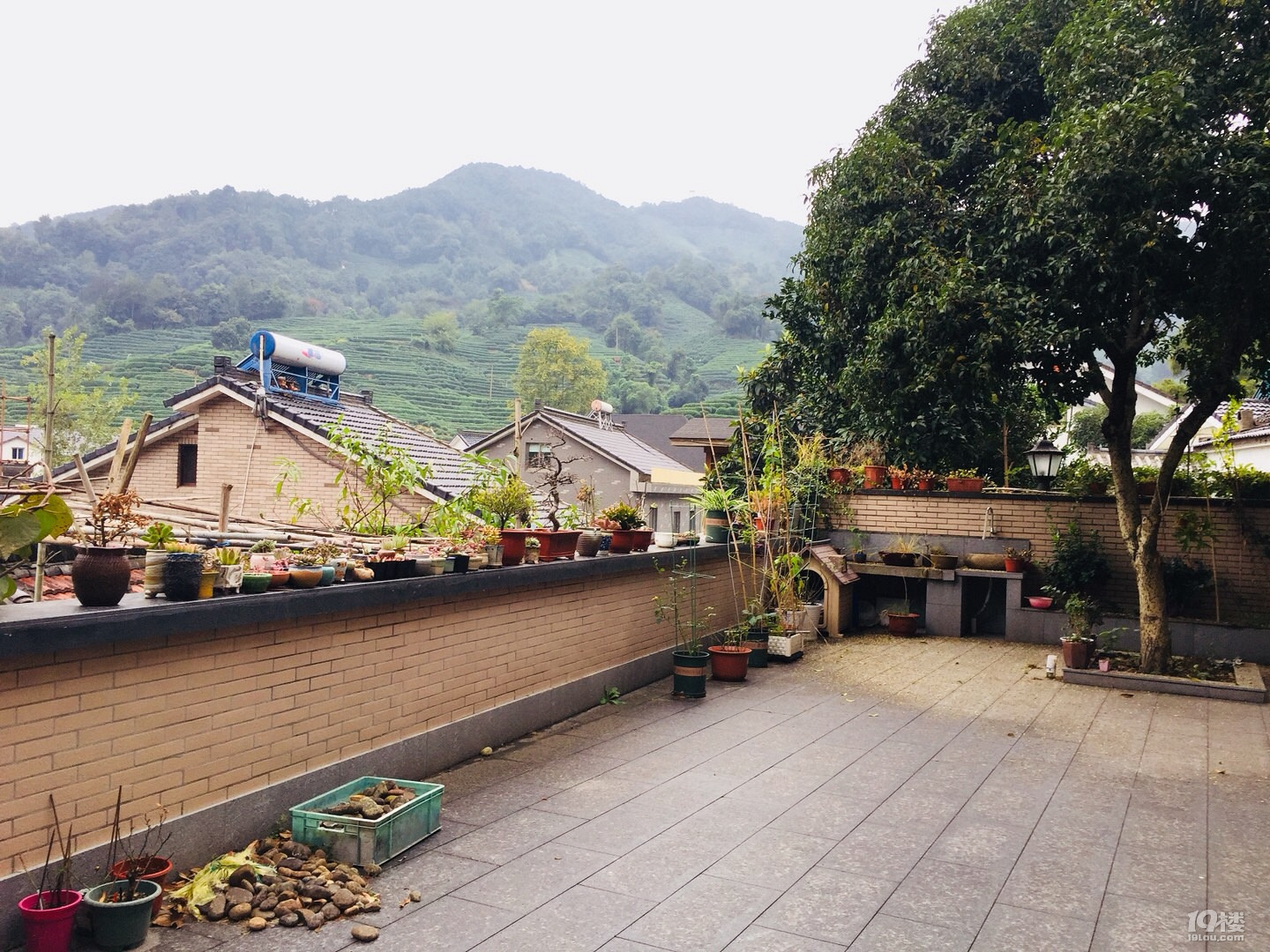 西湖景区龙井村240方别墅院子80方视野开阔看出去就是山景茶园