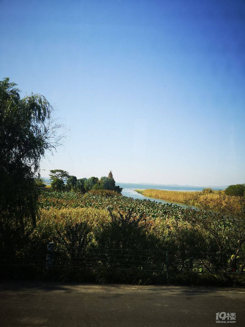 如此美的太湖秋景