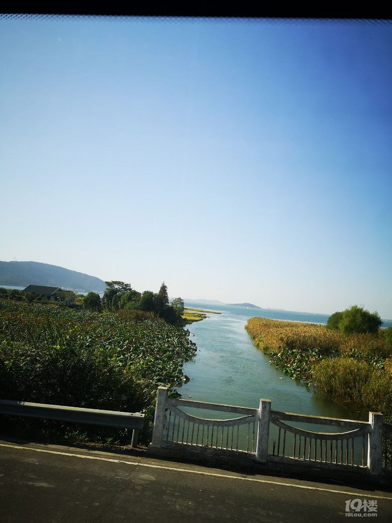 如此美的太湖秋景