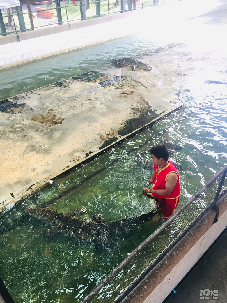 【秋游季】坐4小时飞机再次来到曼谷 就是为了寻找这些遗失的美好
