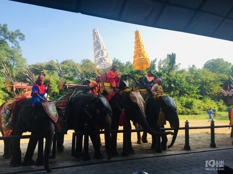 【秋游季】坐4小时飞机再次来到曼谷 就是为了寻找这些遗失的美好