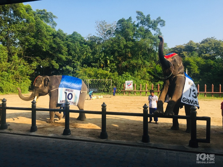 【秋游季】坐4小时飞机再次来到曼谷 就是为了寻找这些遗失的美好