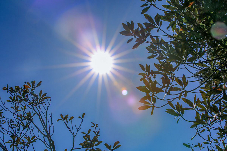阳光-风景照-19摄区-杭州19楼