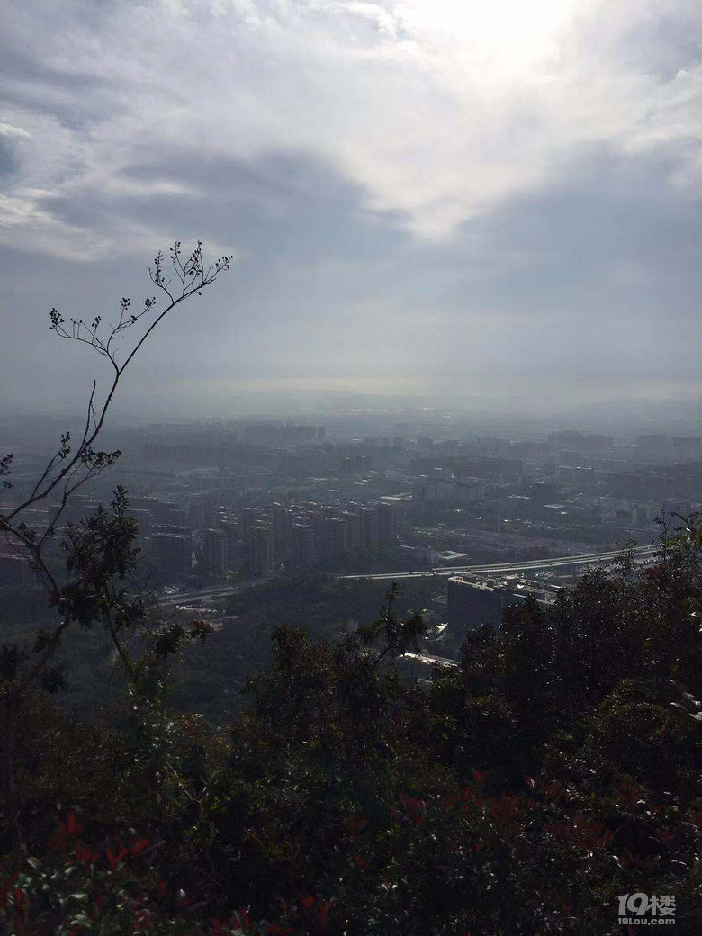 秋天的半山，真美！