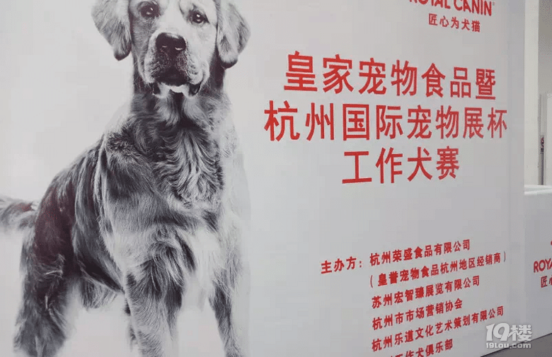 逛浙江寵物產業(yè)展--文明養(yǎng)寵物,都是知識點!