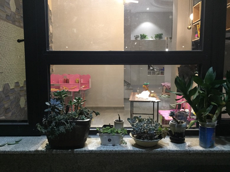 ȫ�µ�����Ԣ��װ�޳���