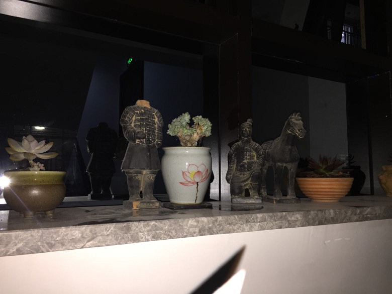 ȫ�µ�����Ԣ��װ�޳���