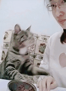 223_308gif 动态图 动图