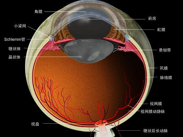 武汉近视激光手术会损伤视网膜吗?并没有!