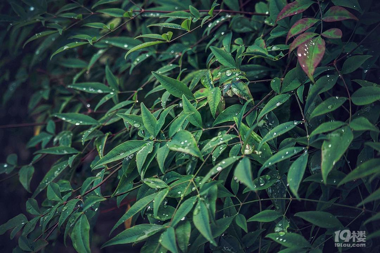 荻浦深澳一日游 多圖 未完