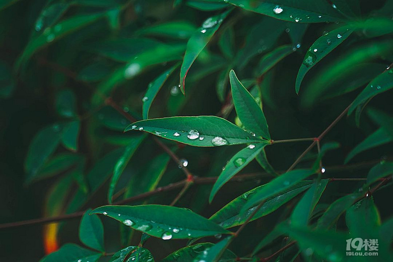 荻浦深澳一日游 多圖 未完