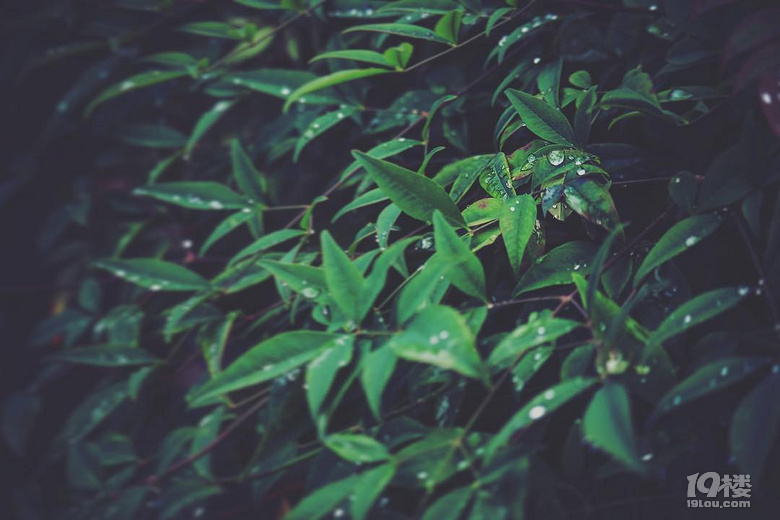 荻浦深澳一日游 多圖 未完
