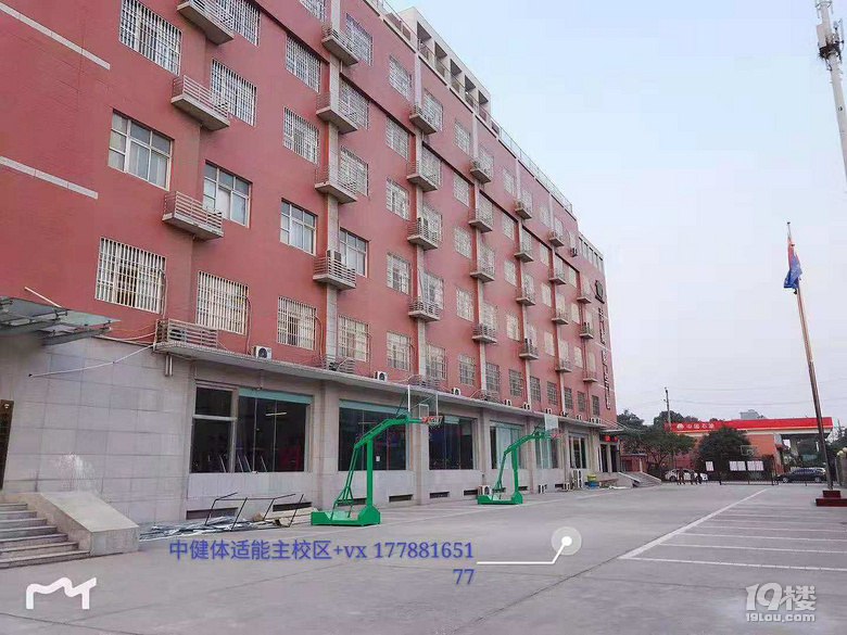 斜方肌训练技巧