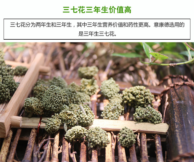 三七花的功效有什么呢?三七花的功效与作用及