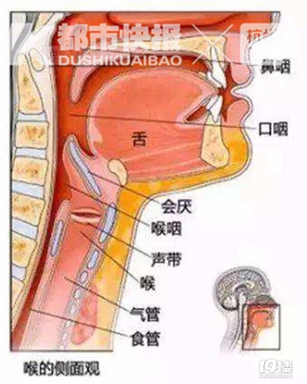 Ӻ퇵[ʹY(ji)Сr·