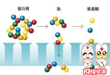 吉米祛皱产品有效果吗?国际顶尖美容师吉米分