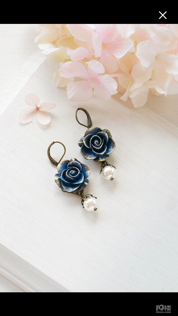 我是一匹来自北方的狼,却在南方冻成了狗